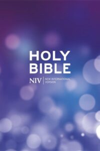 NIV &ndash; Tiny Hardback Bible